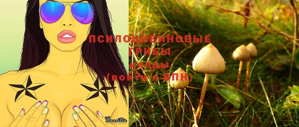 PSILOCYBIN Лихославль