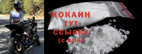 PSILOCYBIN Лихославль