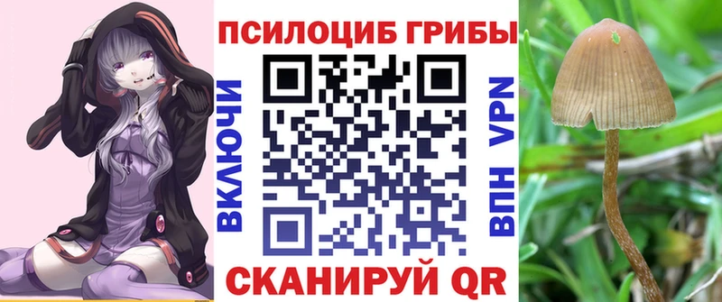 цена   Новоуральск  Псилоцибиновые грибы Psilocybine cubensis 