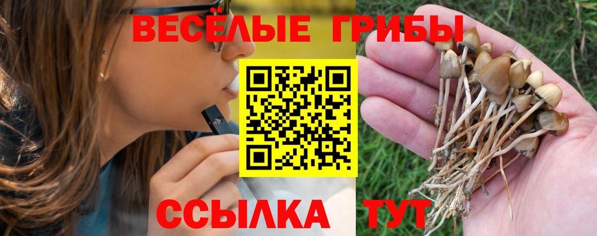 Новоуральск  Псилоцибиновые грибы Psilocybe  Вход с VPN 
